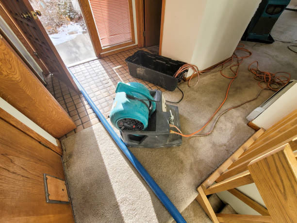 Best Ceiling water damage repair  in Welcome, SC