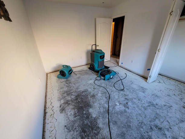 Best Carpet water damage restoration  in Welcome, SC
