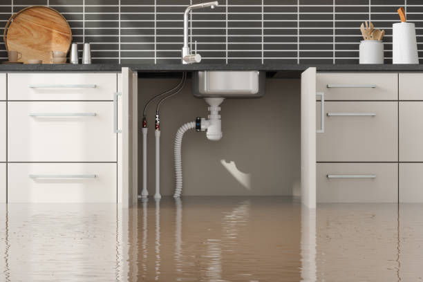 Best Local water damage restoration  in Welcome, SC