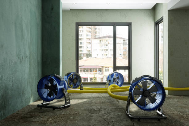 Best Commercial water damage restoration  in Welcome, SC